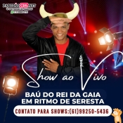 Rei da Gaia Tbt Cd Novo 2024 - Promocional