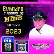 Evandro o Ferinha de Minas Cd Novo 2023 - Promocional