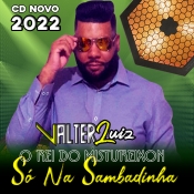 Valter Luiz o Rei Do Mistureixon 2022 - Promocional