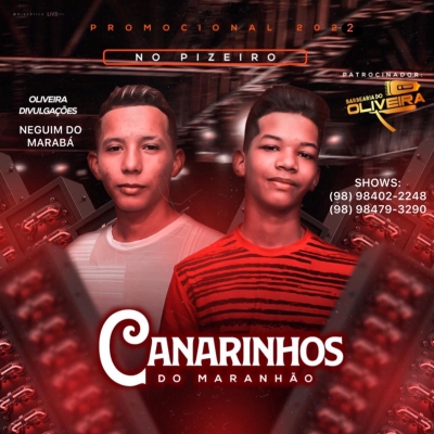 Os Canarinhos do Maranhão 2022 - Promocional