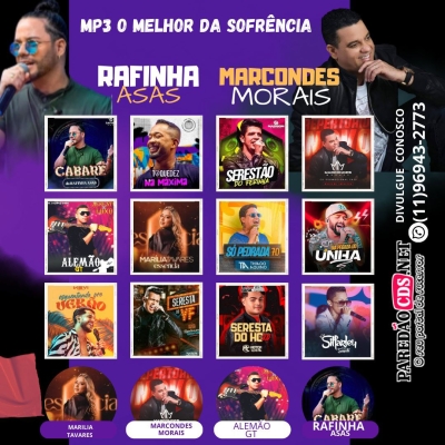 Mp3 O Melhor da Sofrência 2024