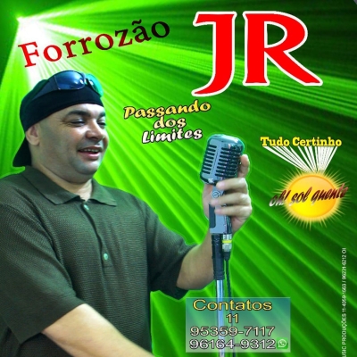 Jr Os Baladeiros do Forró Volume:01